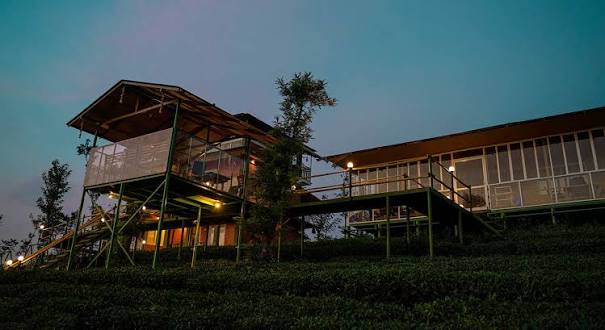 Tea Garden Resort