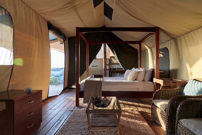 Honeymoon Tent